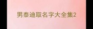 男泰迪取名字大全集