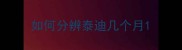 如何分辨泰迪几个月