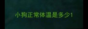 小狗正常体温是多少