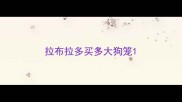 拉布拉多买多大狗笼