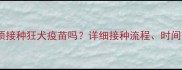 宠物犬咬伤后必须接种狂犬疫苗吗详细接种流程时间节点及注意事项