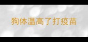 狗体温高了打疫苗