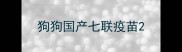 狗狗国产七联疫苗