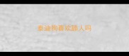 泰迪狗喜欢舔人吗