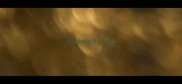 临沂宠物狗个人交易