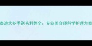 泰迪犬冬季剃毛利弊全专业美容师科学护理方案