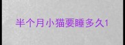 半个月小猫要睡多久