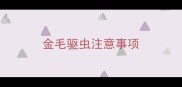 金毛驱虫注意事项