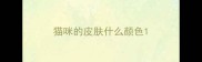 猫咪的皮肤什么颜色