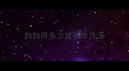 狗狗用多少度的水洗澡