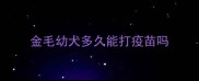 金毛幼犬多久能打疫苗吗