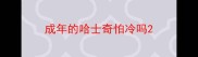 成年的哈士奇怕冷吗