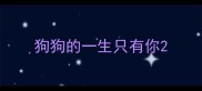 狗狗的一生只有你