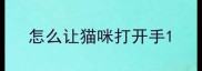 怎么让猫咪打开手
