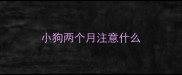 小狗两个月注意什么