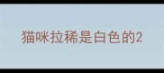 猫咪拉稀是白色的