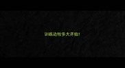 训练边牧多大开始