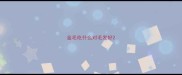 金毛吃什么对毛发好