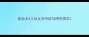 泰迪犬3月龄发育特征与喂养需求
