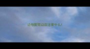 边牧配完以后注意什么