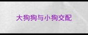 大狗狗与小狗交配