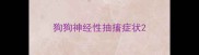 狗狗神经性抽搐症状
