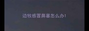 边牧感冒鼻塞怎么办
