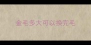 金毛多大可以换完毛