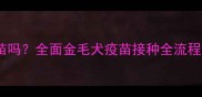 金毛必打疫苗吗全面金毛犬疫苗接种全流程与注意事项