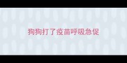 狗狗打了疫苗呼吸急促