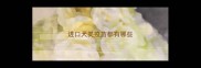 进口犬类疫苗都有哪些
