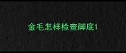 金毛怎样检查脚底