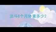 法斗8个月体重多少