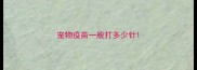 宠物疫苗一般打多少针