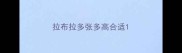 拉布拉多张多高合适
