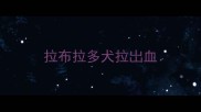 拉布拉多犬拉岀血