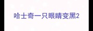 哈士奇一只眼睛变黑