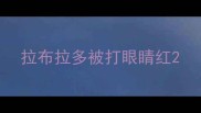 拉布拉多被打眼睛红