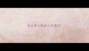 哈士奇小狗多少天满月