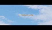 6个月博美犬怎么训练