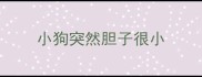 小狗突然胆子很小
