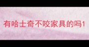 有哈士奇不咬家具的吗