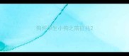 狗怀孕生小狗之前征兆