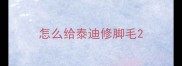 怎么给泰迪修脚毛