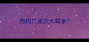 狗狗口服庆大霉素