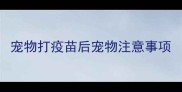 宠物打疫苗后宠物注意事项