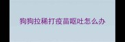 狗狗拉稀打疫苗呕吐怎么办