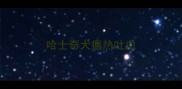 哈士奇犬瘟热吐血