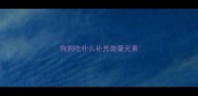 狗狗吃什么补充微量元素