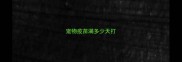 宠物疫苗满多少天打